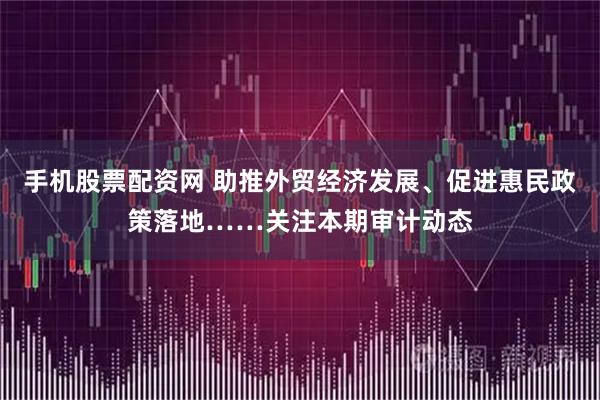 手机股票配资网 助推外贸经济发展、促进惠民政策落地……关注本期审计动态