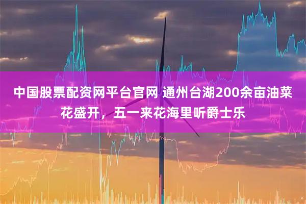 中国股票配资网平台官网 通州台湖200余亩油菜花盛开，五一来花海里听爵士乐