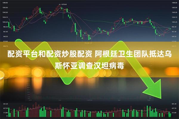 配资平台和配资炒股配资 阿根廷卫生团队抵达乌斯怀亚调查汉坦病毒
